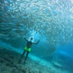 Tenerife: Underwater Walk - Sea Trek Experience - What to Expect from Your Underwater Walk
