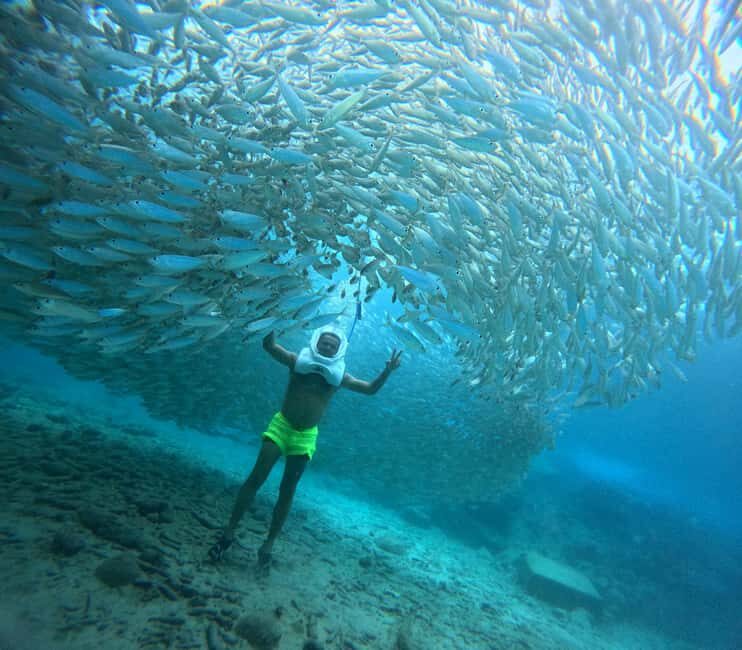Tenerife: Underwater Walk - Sea Trek Experience - What to Expect from Your Underwater Walk
