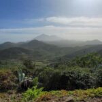 Teno: Circular hike from Erjos over the mountain ridge with views of Masca - The Value of This Experience
