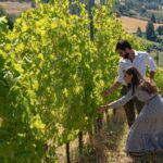 Tenuta Bonzara - Tour and wine tasting in the hills of Bologna - What to Expect from the Tenuta Bonzara Experience