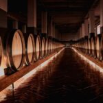 Tenute Girolamo: Winery Tour and Deluxe Tasting in the Itria Valley - The Value of This Experience