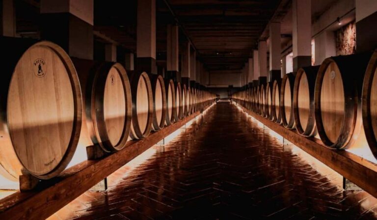 Tenute Girolamo: Winery Tour and Deluxe Tasting in the Itria Valley - The Value of This Experience