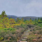 Terceira Island: Mistérios Negros & Mist. Novo Hike w/picnic - What’s Included & Practicalities