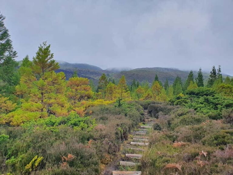 Terceira Island: Mistérios Negros & Mist. Novo Hike w/picnic - What’s Included & Practicalities