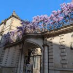 The Best of Bordeaux Walking Tour + 1 Glass of Wine - Who Will Love This Tour?