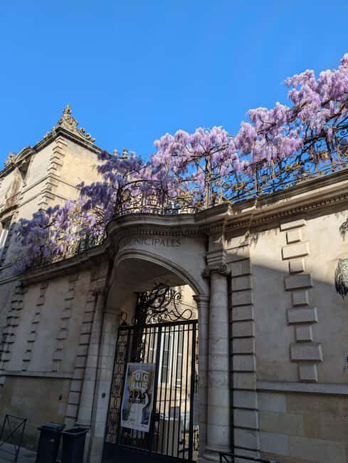 The Best of Bordeaux Walking Tour + 1 Glass of Wine - Who Will Love This Tour?