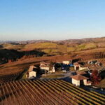 The Best of the Langhe: Wine Tasting & Traditional Meal - An In-Depth Look at the Experience