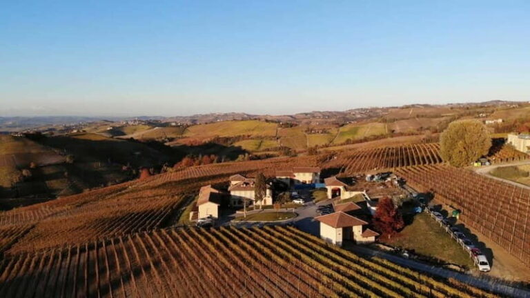 The Best of the Langhe: Wine Tasting & Traditional Meal - An In-Depth Look at the Experience