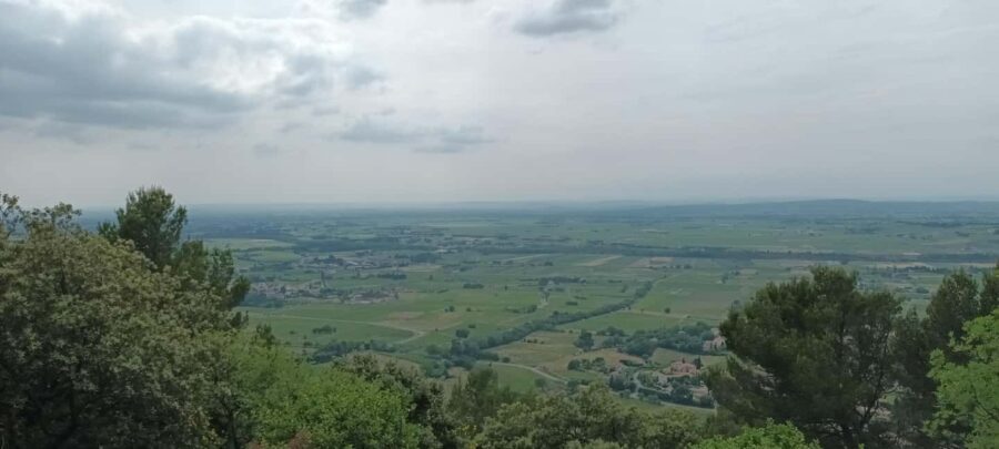 The Côtes du Rhône wine route by electric bike - The Experience in Detail