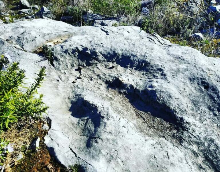 The Earth Remembers: SUV Tour in Serras de Aire e Candeeiros - What Is Included & What to Consider