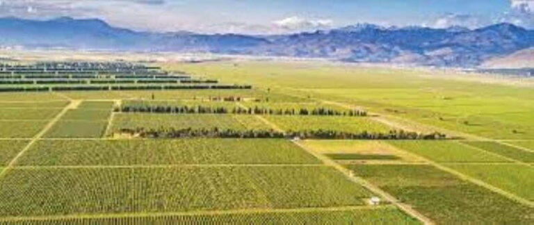 The largest winery in Montenegro: private tour & transport - Overall Value and Practical Tips