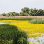 The Magic of Transylvania and the Danube Delta: 8 Days - Who Would Enjoy This Tour?