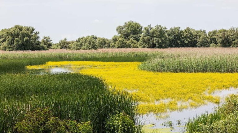 The Magic of Transylvania and the Danube Delta: 8 Days - Who Would Enjoy This Tour?