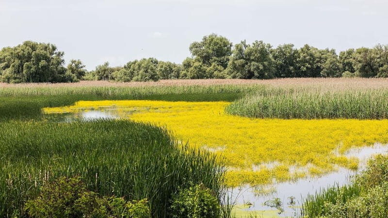 The Magic of Transylvania and the Danube Delta: 8 Days - Who Would Enjoy This Tour?