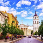 The Majestic and Royal Vilnius Private Walking Tour - Price & Value