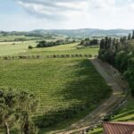 The Memories of the Count - AGED AND SUPERTUSCAN WINE TASTING - Exploring the Itinerary: What to Expect From Start to Finish