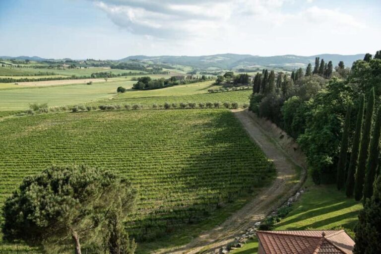 The Memories of the Count - AGED AND SUPERTUSCAN WINE TASTING - Exploring the Itinerary: What to Expect From Start to Finish