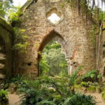 The Other Side of Sintra - Forgotten Woods Tour - Final Thoughts
