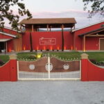 The Selections: visit and tasting in the Bolgheri Doc region - The Breaks Down: Why This Tour Works