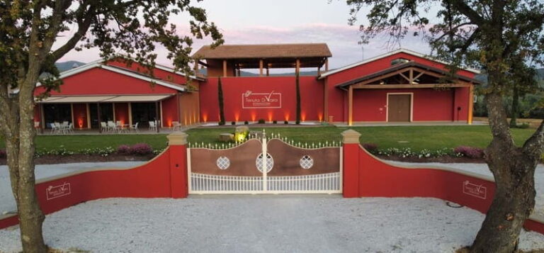 The Selections: visit and tasting in the Bolgheri Doc region - The Breaks Down: Why This Tour Works