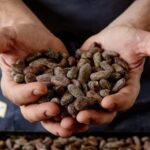 The Turin Chocolate Factory Guided Tour & Tasting - Exploring the Experience