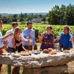 The Vineyard Watchers - Why This Tour Offers Good Value