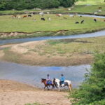 Three cliffs bay circular walk - Gower Peninsula - An In-Depth Look at the Gower Circular Walk
