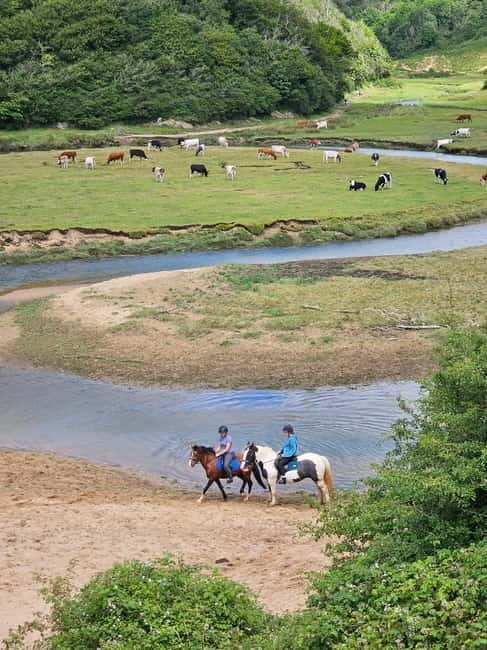 Three cliffs bay circular walk - Gower Peninsula - An In-Depth Look at the Gower Circular Walk