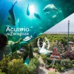 Ticket pack for Zaragoza Amusement Park and Aquarium - Why This Experience Offers Good Value