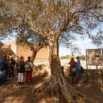 Tivoli: Entrance Ticket to Villa Adriana & App Audioguide - What You Get: A Breakdown of the Experience