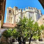 Tomar and Almourol (Knights Templar): Day Tour from Lisbon - What Makes This Tour Stand Out?