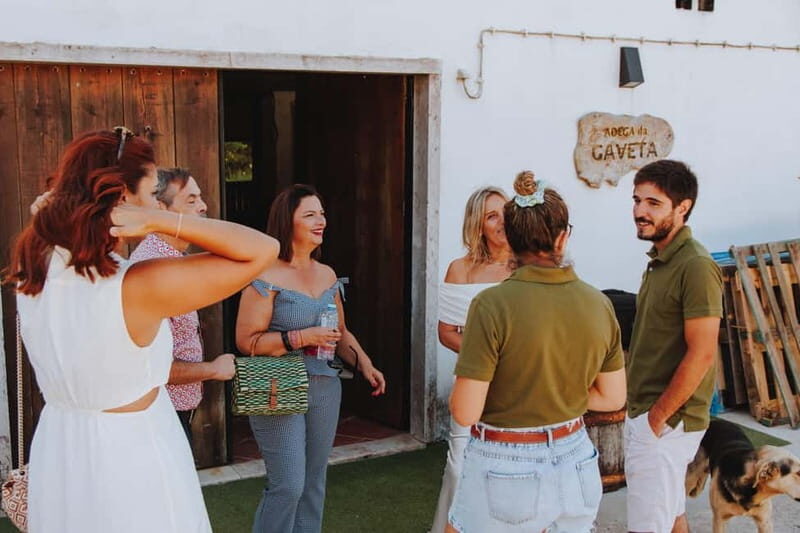 Tomar: Vineyard Tour with Tastings - Tour Logistics and Practical Tips