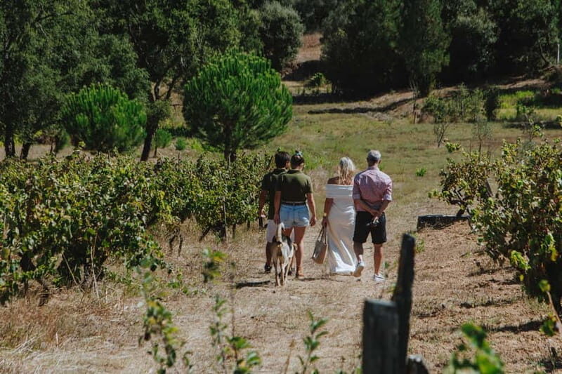 Tomar: Wine Tasting with Vinotherapy - Price and Value  