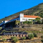 Top Douro from Porto: walk + visit + wine tasting + picnic - Good To Know