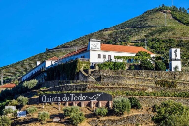 Top Douro from Porto: walk + visit + wine tasting + picnic - Good To Know