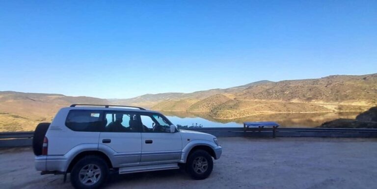 Torre de Moncorvo: Douro Valley Wine Farm & Rural Workshops - Who Is This Tour Best For?