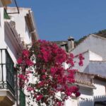 Torremolinos-Benalmádena: Jeep EcoTour - Authentic Andalusia - Who Will Love This Tour?