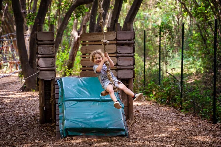 Toulon: Tree climbing course - Authentic Insights from Visitors  