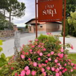 Tour and Wine Tasting between Langhe and Monferrato - What to Expect from the Tour