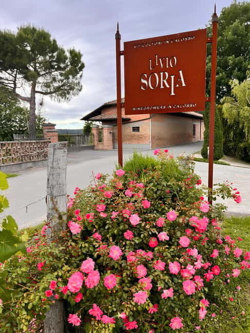 Tour and Wine Tasting between Langhe and Monferrato - What to Expect from the Tour