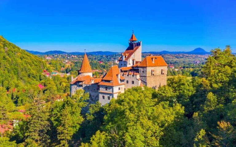 Tour: Bucharest to Peles & Dracula Castles & Medieval Brasov - Transportation and Logistics