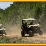 TOUR BUGGY IN BOTICAS AND CHAVES - Itinerary Breakdown: What to Expect
