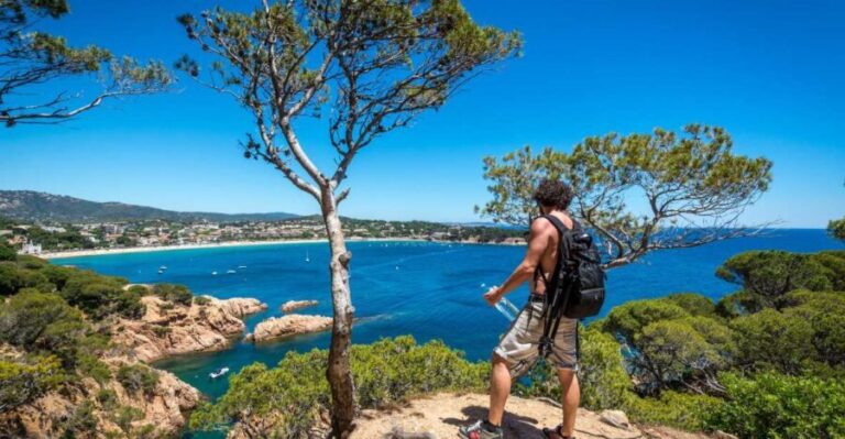 Tour Costa Brava: Coastal Trails, Snorkel, Cliff-Jump & Meal - Transportation and Logistics