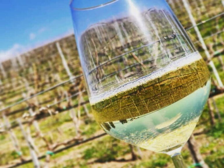 Tour & Tasting at Cantine Capitani - Why this tour is worth your time