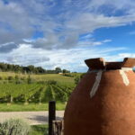 Tour & tasting at Tenuta la Viola - Why this tour offers great value