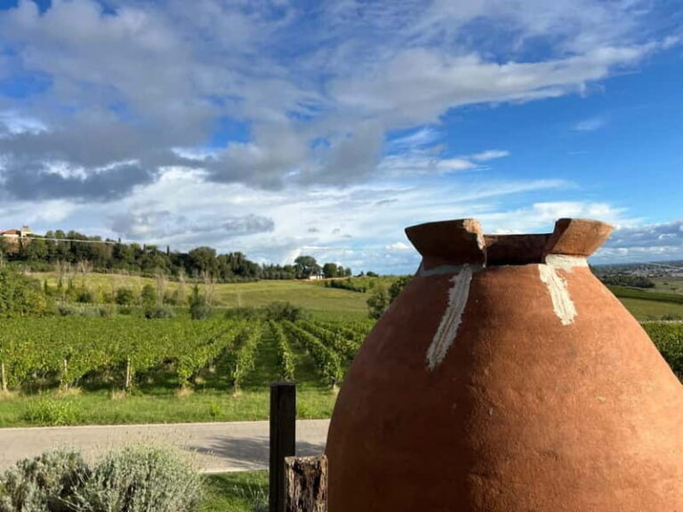 Tour & tasting at Tenuta la Viola - Why this tour offers great value