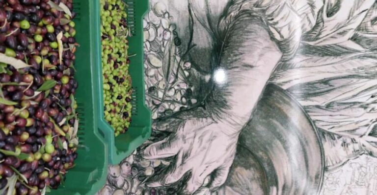 Tour & Tasting of Olive Oil and Tuscan Products - Sarteano - What You Will Love About This Tour