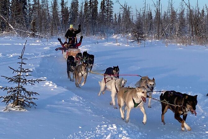 Traditional Dog Sledding Adventure in Yellowknife - Final Thoughts  