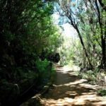 Trail to Wind Lagoon  Explore Levada do Alecrim - The Experience: What Makes It Special