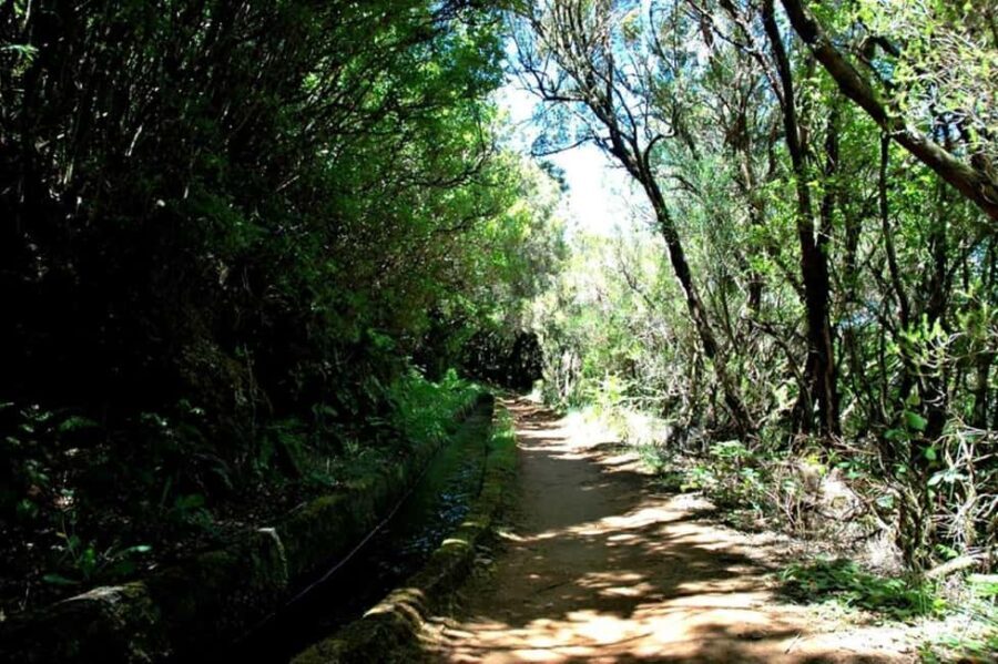 Trail to Wind Lagoon  Explore Levada do Alecrim - The Experience: What Makes It Special